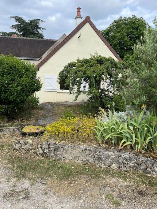 La Petite Maisonnette Saint-Georges-sur-Cher Eksteriør billede